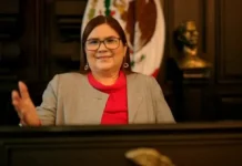 Desde el parlamento | Igualdad de género y política de cuidados en México | Imelda Castro Castro Imelda Castro Castro