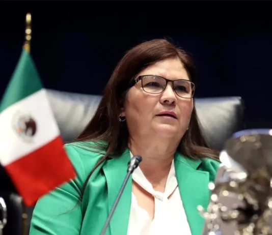 Igualdad y políticas de cuidados en México imelda castro mexico