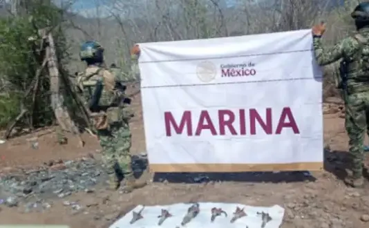 Marina asegura y destruye 11 artefactos explosivos improvisados en Elota