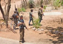 Sicarios paran vehículo de Google Street en Mojolo, Culiacán; tras revisarlo, lo deja ir | FOTOS